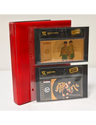 Recharges CARAVELLE/GALION : 2 poches 2