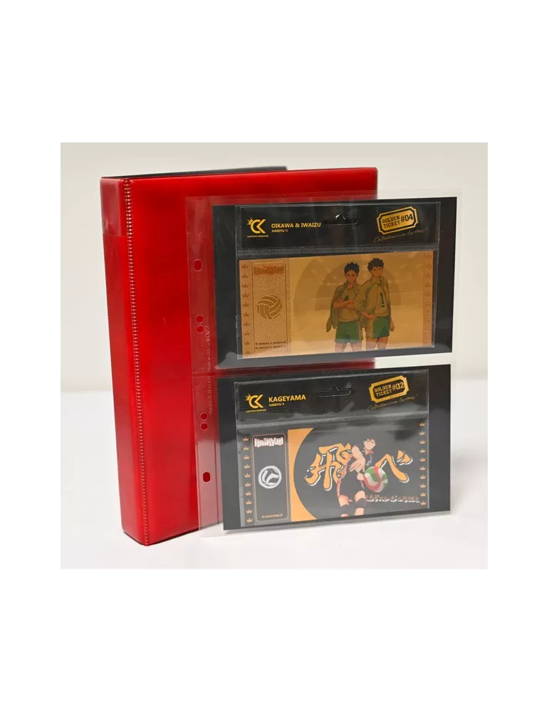 Recharges CARAVELLE/GALION : 2 poches
