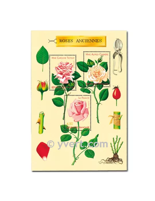 n° 24 - Timbre France Bloc et feuillets