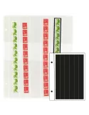 Recharges FUTURA : R6 (x5)