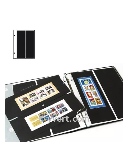 Recharges FUTURA : C20 (x5)