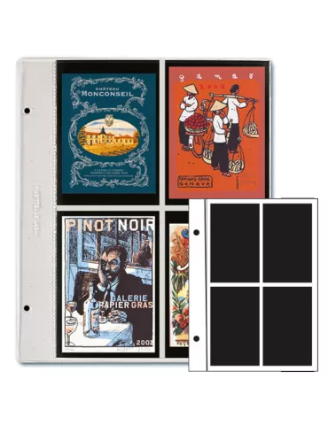 Recharges FUTURA : C40 (x5)