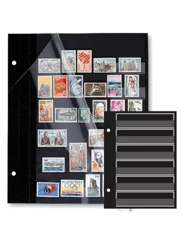 Recharges FUTURA : C80 (x5)