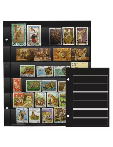 Recharges GIGA : 6 bandes (x5)