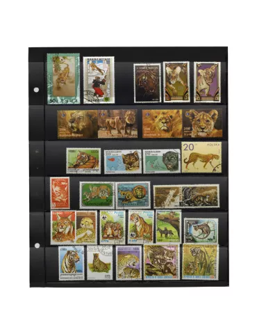 Recharges GIGA : 6 bandes (x5) 2