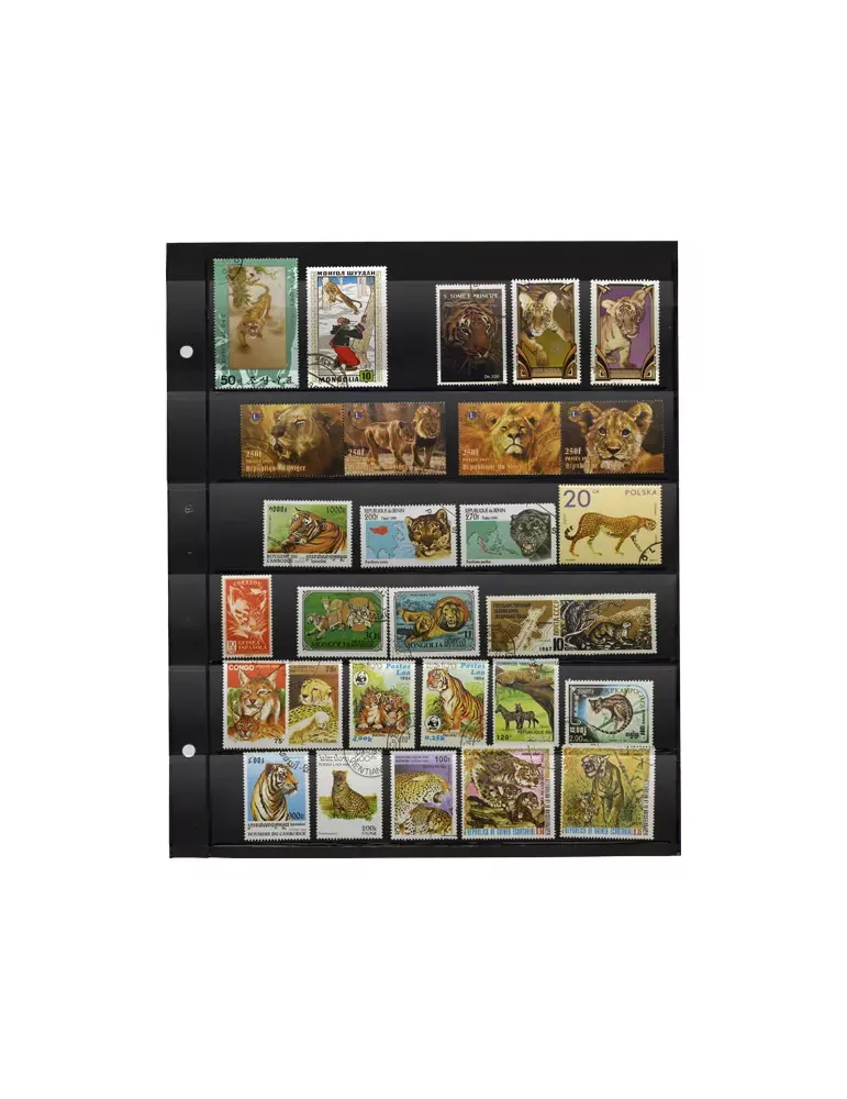 Recharges GIGA : 6 bandes (x5)