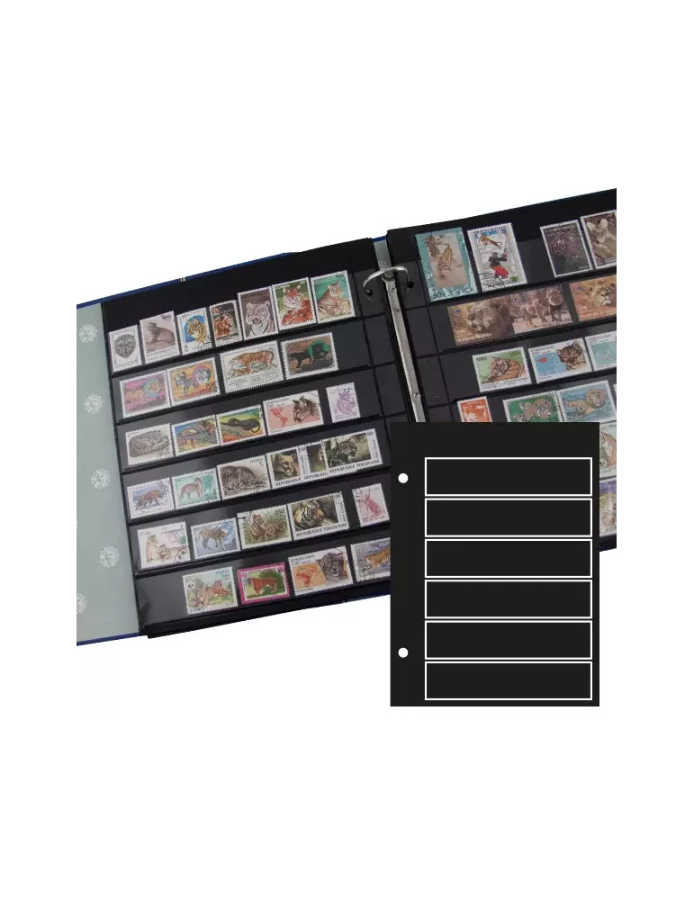 Recharges GIGA : 6 bandes (x5)