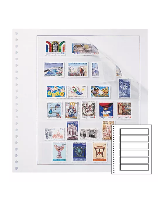 Recharges Recto-Verso Duo-Supra : 6 bandes