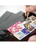 CARTES PLASTIQUES : 2 BANDES (par 100)