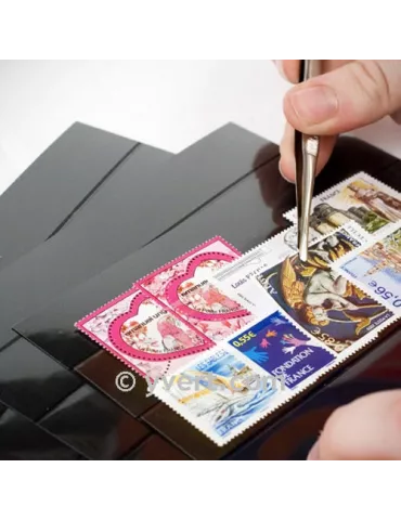 CARTES PLASTIQUES : 1 BANDE (par 12) 2