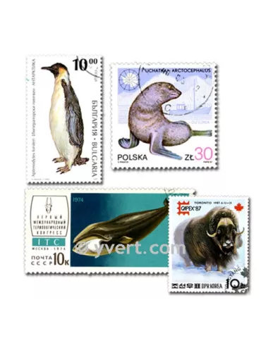 ANIMAUX POLAIRE : pochette de 100 timbres (Oblitérés)