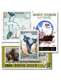 ANTARCTIQUE : pochette de 25 timbres (Oblitérés)