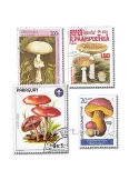 CHAMPIGNONS : pochette de 200 timbres (Oblitérés)
