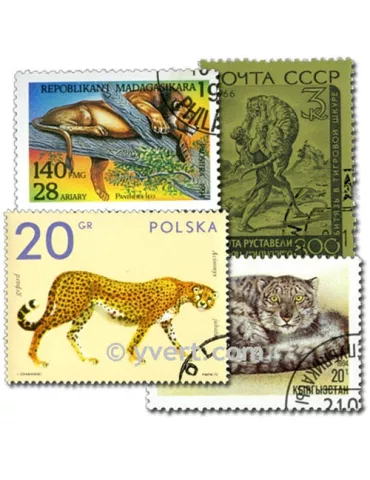 FELINS : pochette de 100 timbres (Oblitérés)