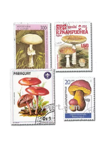 CHAMPIGNONS : pochette de 50 timbres (Oblitérés)