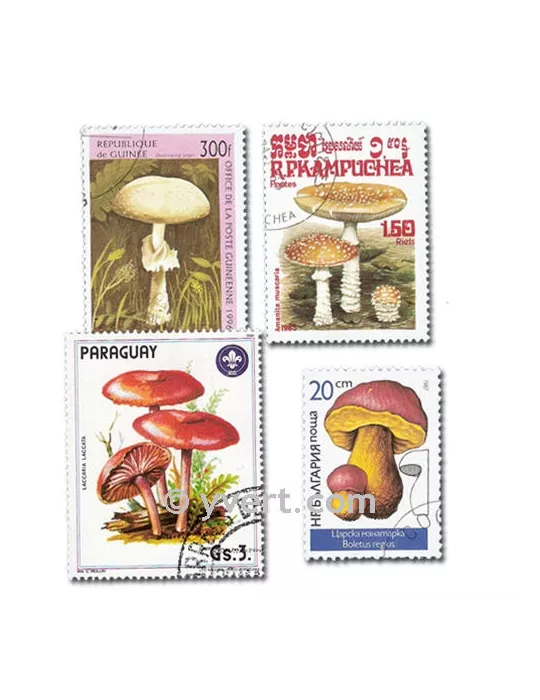 CHAMPIGNONS : pochette de 50 timbres (Oblitérés)