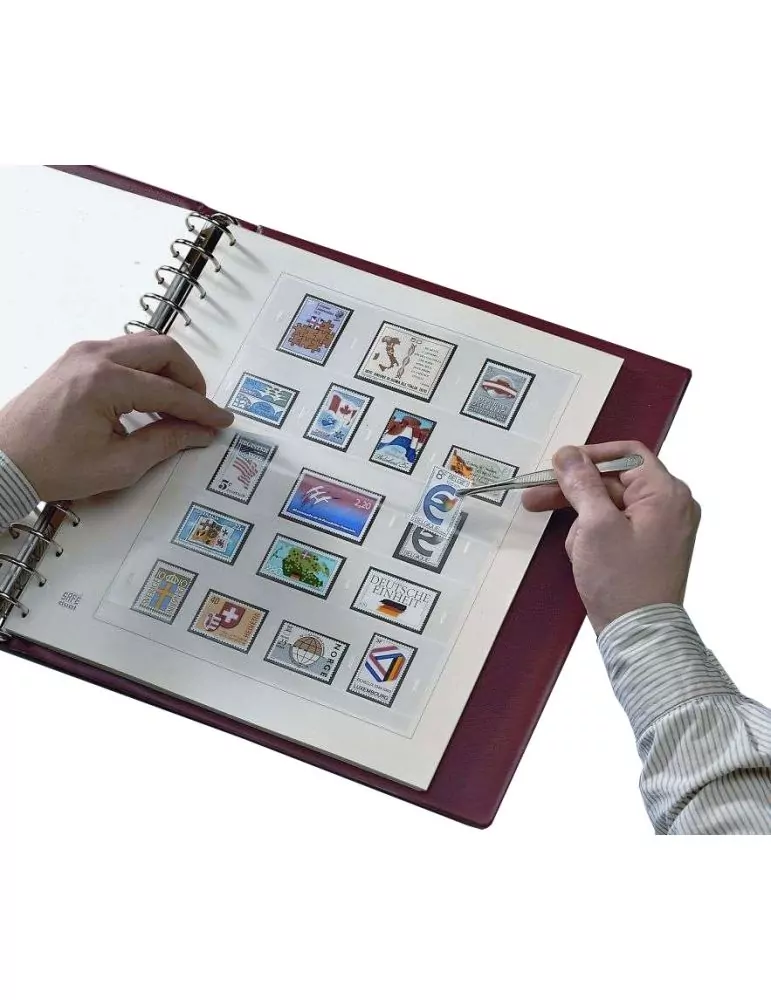 FRANCE SAFE DUAL SANS PLAQUETTE : 2023 (1e SEMESTRE) - SAFE®