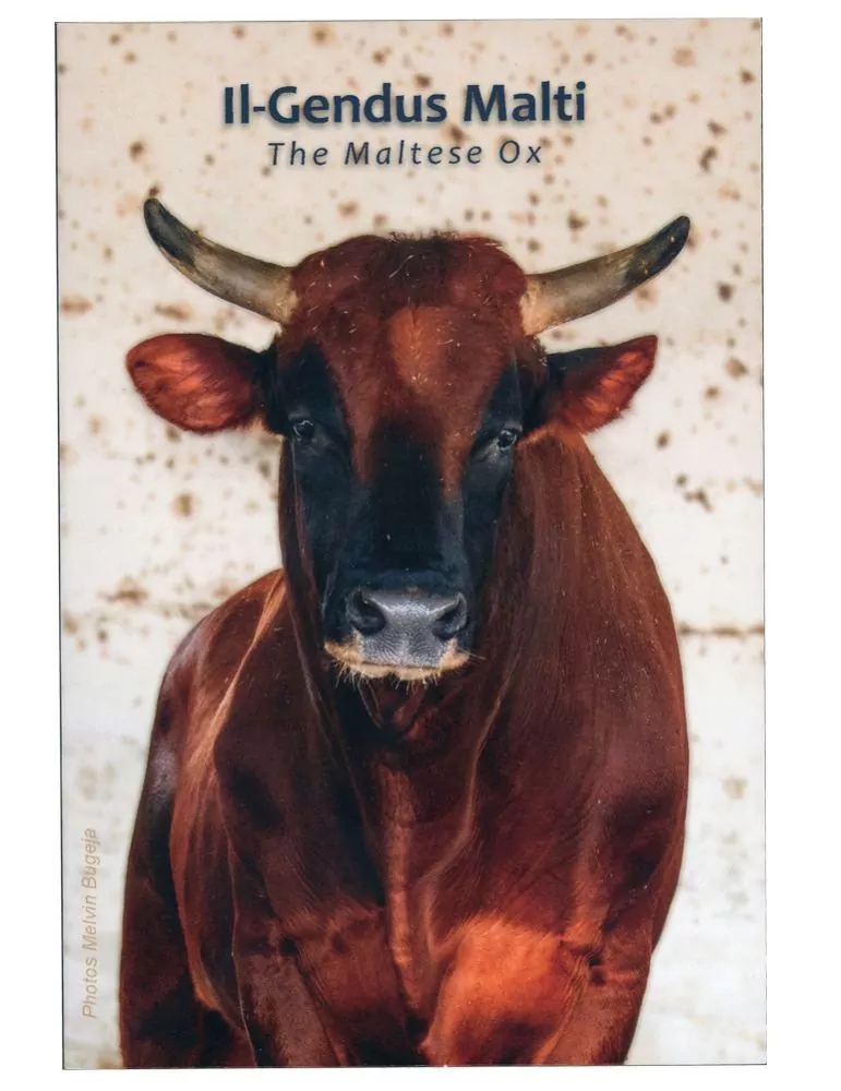 BU : 2 EURO COMMEMORATIVE 2025 : MALTE (Le Boeuf Maltais)