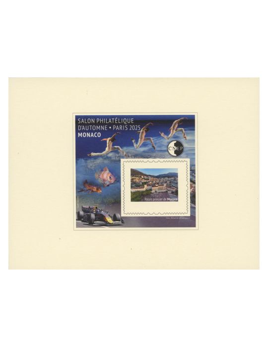 n° 102b - Timbre France CNEP (Epreuve de luxe)