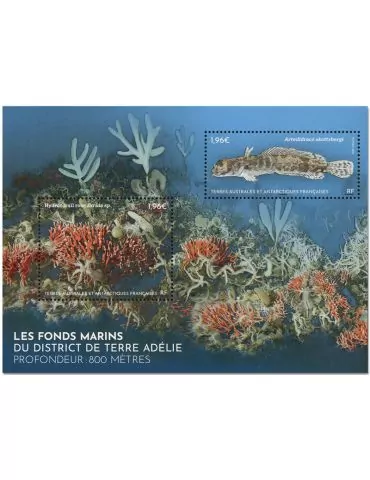 n° F1123 - Timbre TAAF Poste