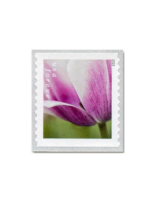 n° 5629a/5638a - Timbre ETATS-UNIS D´AMERIQUE Poste