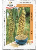 n° 3138 - Timbre IRAN Poste