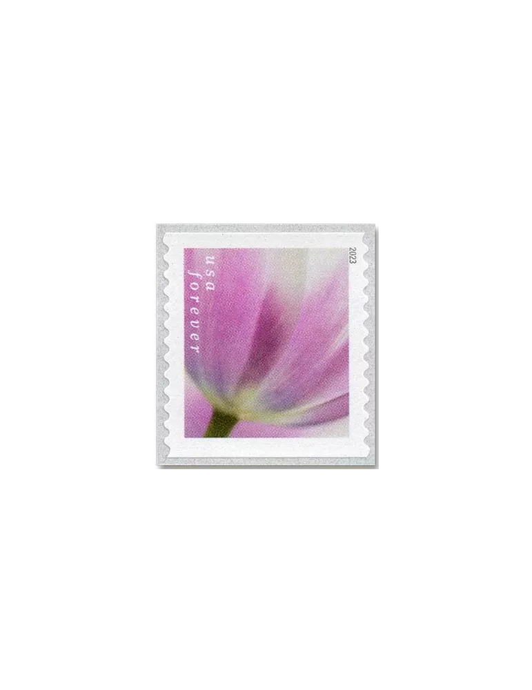 n° 5629a/5638a - Timbre ETATS-UNIS D´AMERIQUE Poste