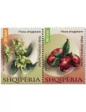 n° 3381/3382 - Timbre ALBANIE Poste