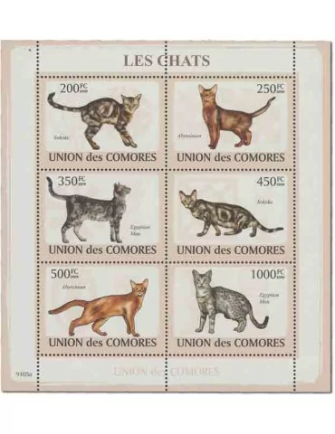 COMORES : Thématique( Chats) 2