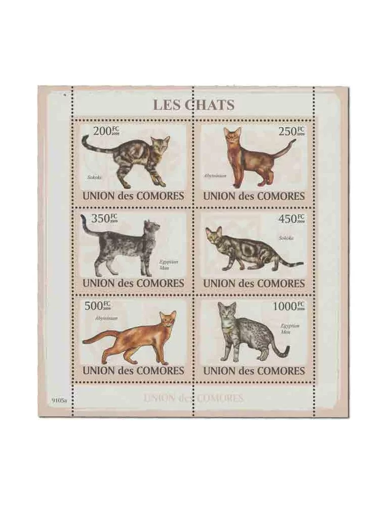 COMORES : Thématique( Chats)