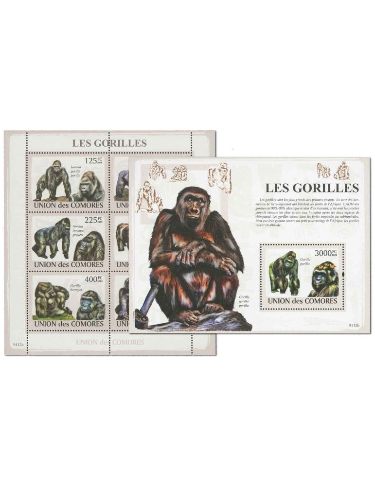 COMORES : Thématique (Les Gorilles)