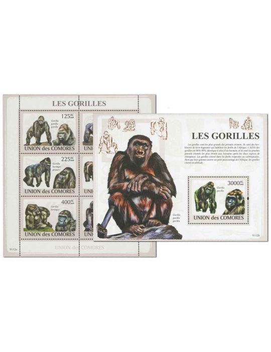 COMORES : Thématique (Les Gorilles)