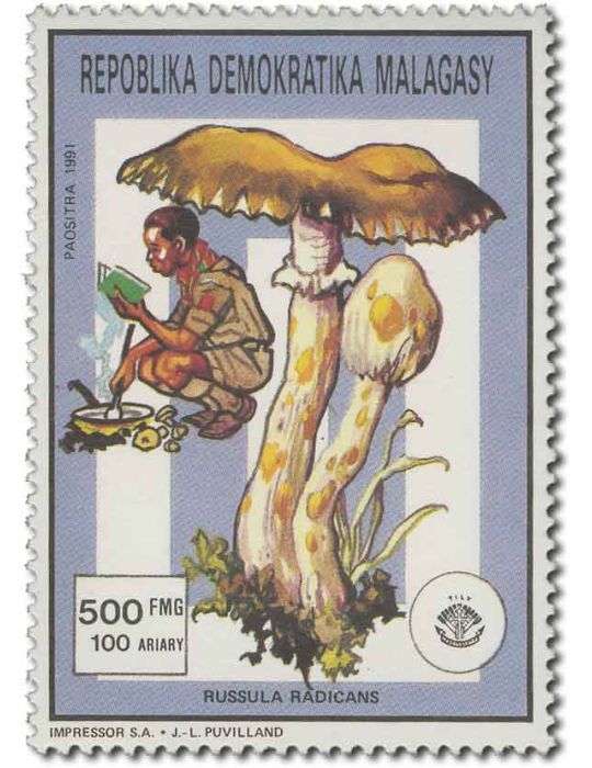 MADAGASCAR : Thématique( Insectes/Champignons)