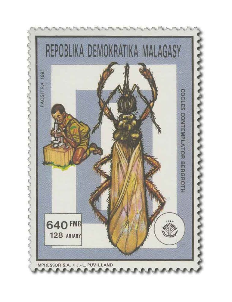 MADAGASCAR : Thématique( Insectes/Champignons)