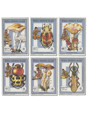 MADAGASCAR : Thématique( Insectes/Champignons)