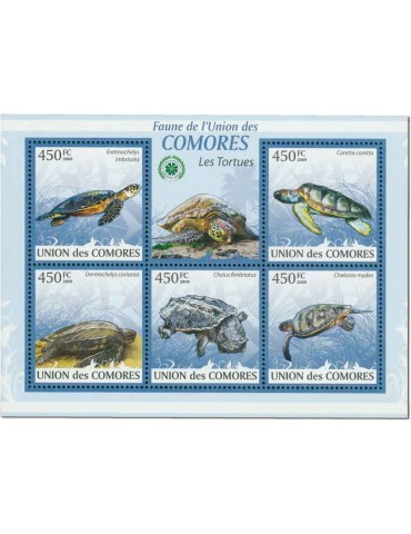 COMORE : Thématique (Les Tortues) 2