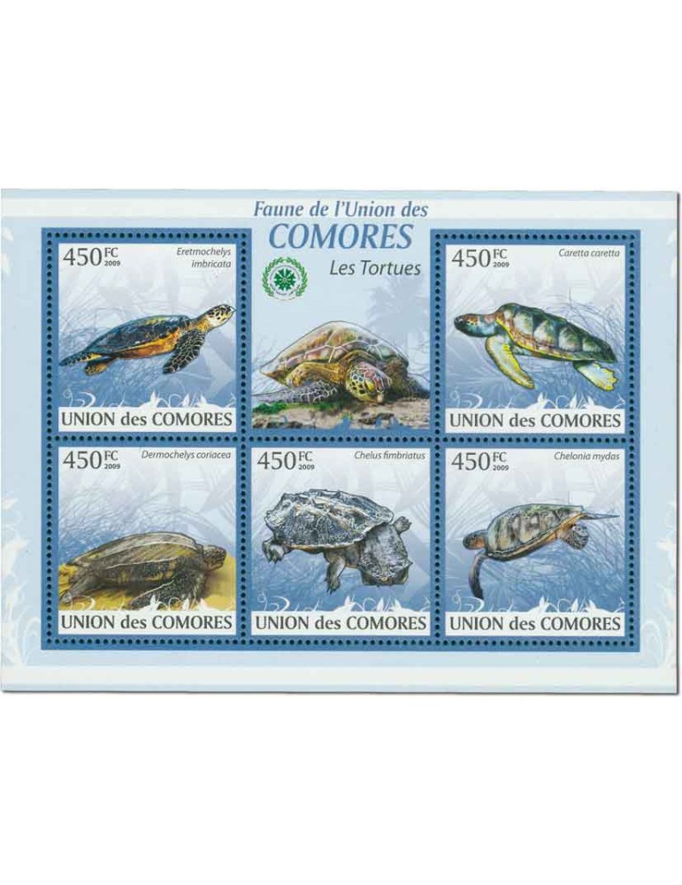 COMORE : Thématique (Les Tortues)
