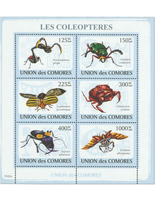 COMORES : Thématique (Les Coléoptères)