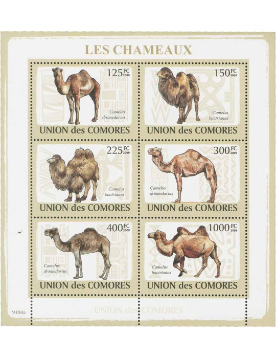 COMORES : Thématique (Les Chameaux)