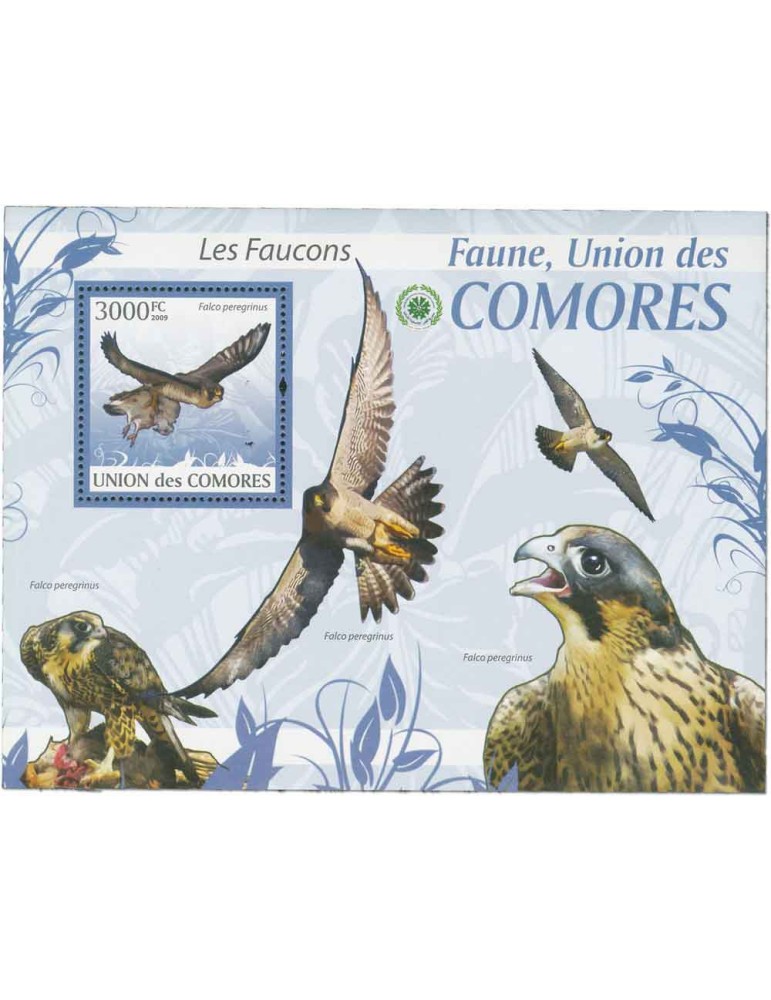 COMORES : Thématique (Les Faucons)