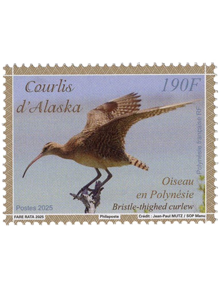 n° 1376 - Timbre POLYNESIE Poste (OISEAU EN POYNESIE COURLIS D'ALASKA - 13 25 204)