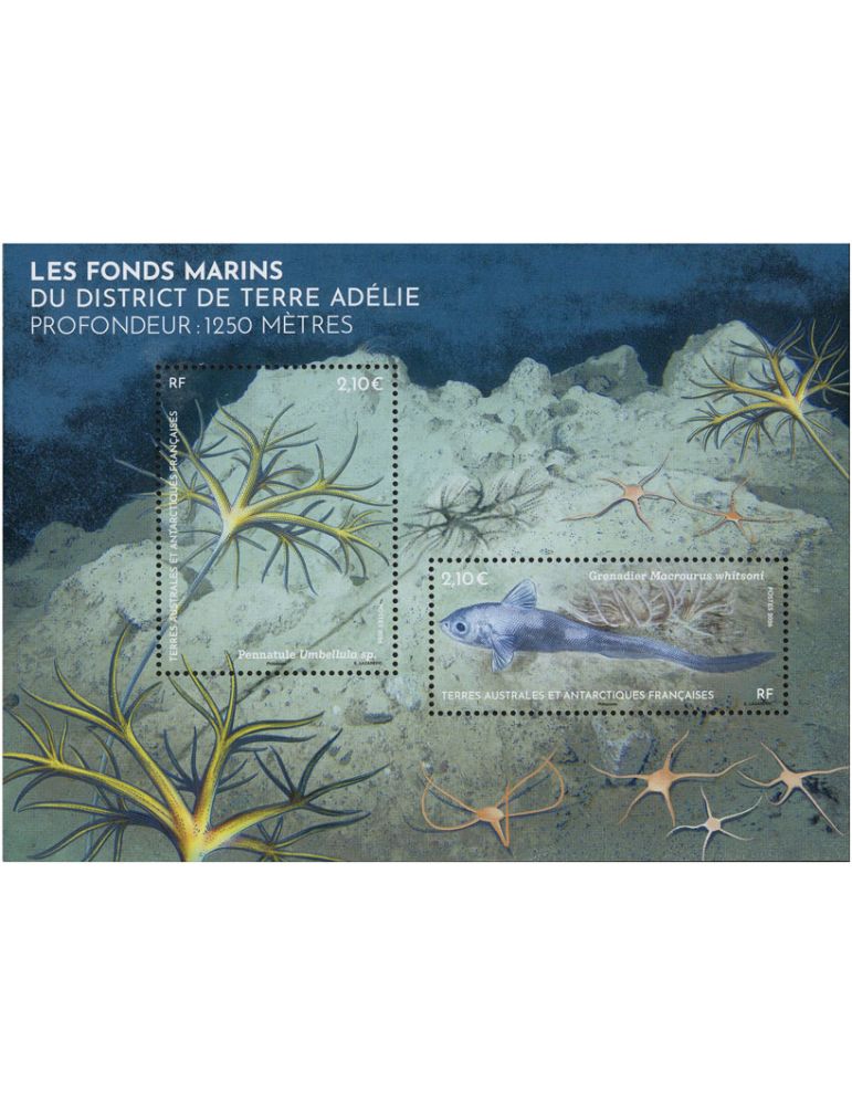TAAF : BLOC FONDS MARINS DE TERRE ADELIE- (13_26_452)