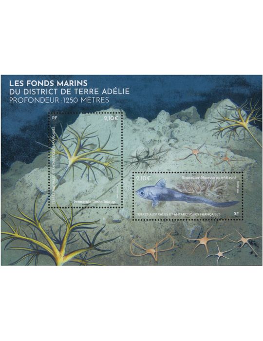 TAAF : BLOC FONDS MARINS DE TERRE ADELIE- (13_26_452)