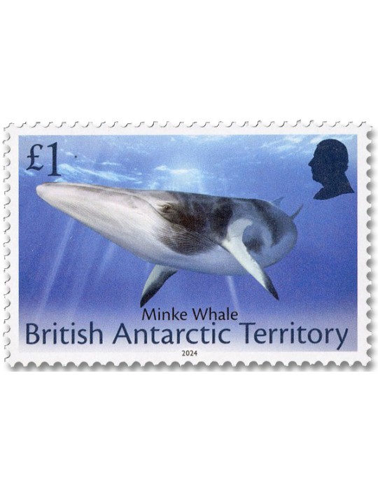 n° 837/848 - Timbre ANTARCTIQUE BRITANNIQUE Poste