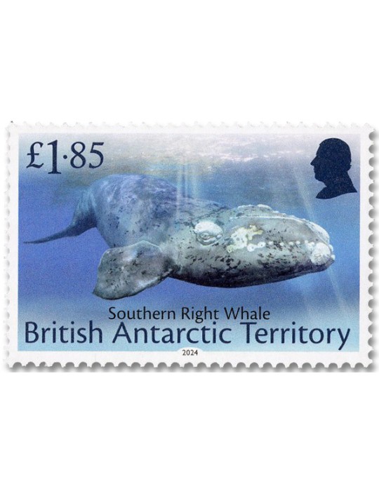 n° 837/848 - Timbre ANTARCTIQUE BRITANNIQUE Poste