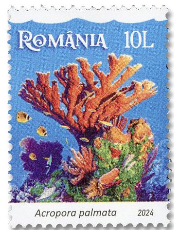 new 2