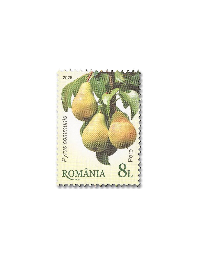 n° 7243/7248 - Timbre ROUMANIE Poste