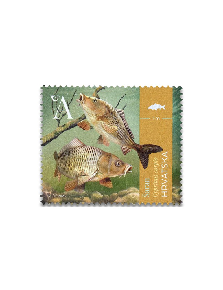 n° 1553/1555 - Timbre CROATIE Poste