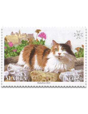n° 2185/2188 - Timbre MALTE Poste