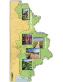 n° F5291 - Timbre BELGIQUE Poste